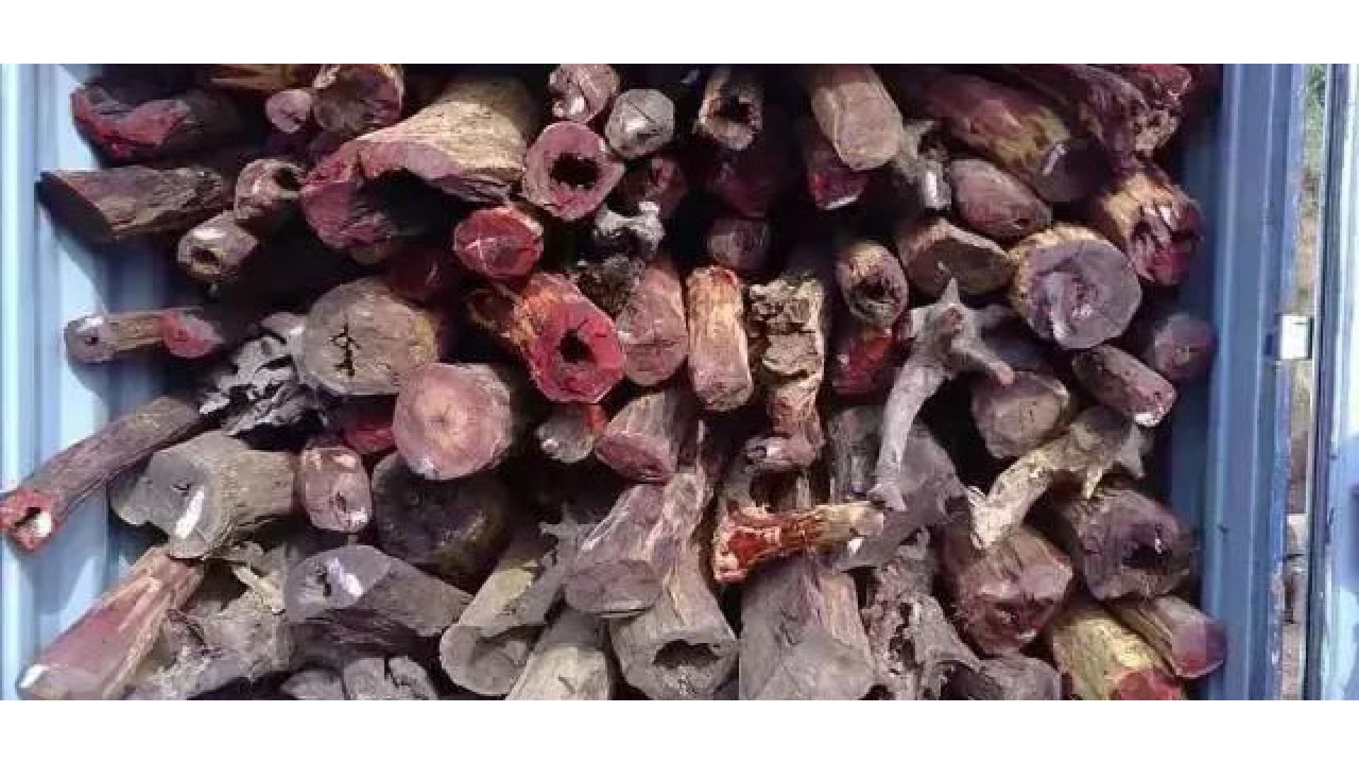 药师佛十二大愿 究竟是何内容