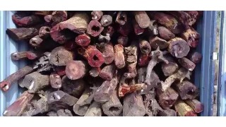 药师佛十二大愿 究竟是何内容