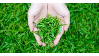 南京国际佛事用品展览会