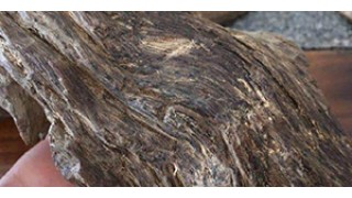 紫檀木粉现在的市场价格为多少？