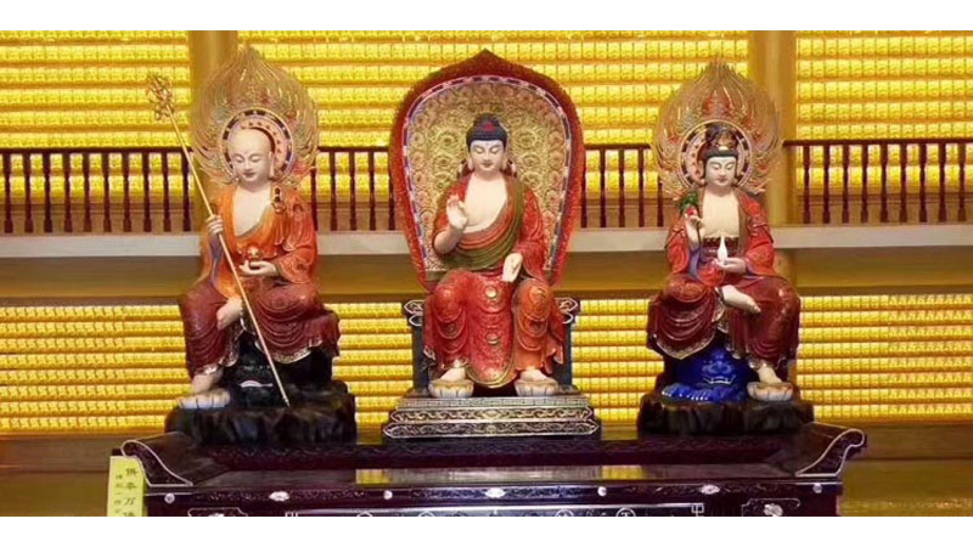 今年的最后一波福利大派送“双旦礼遇季”来啦！！！