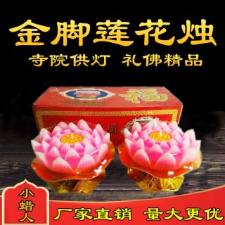 金脚莲花烛