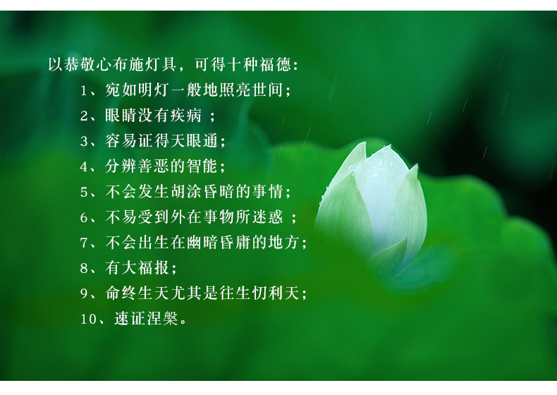 易昌缘电子莲花灯