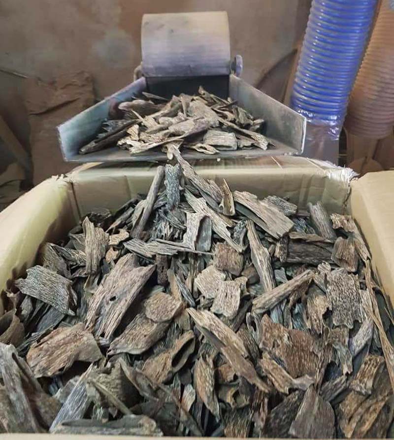 台湾永泰香堂 芽庄沉盘香